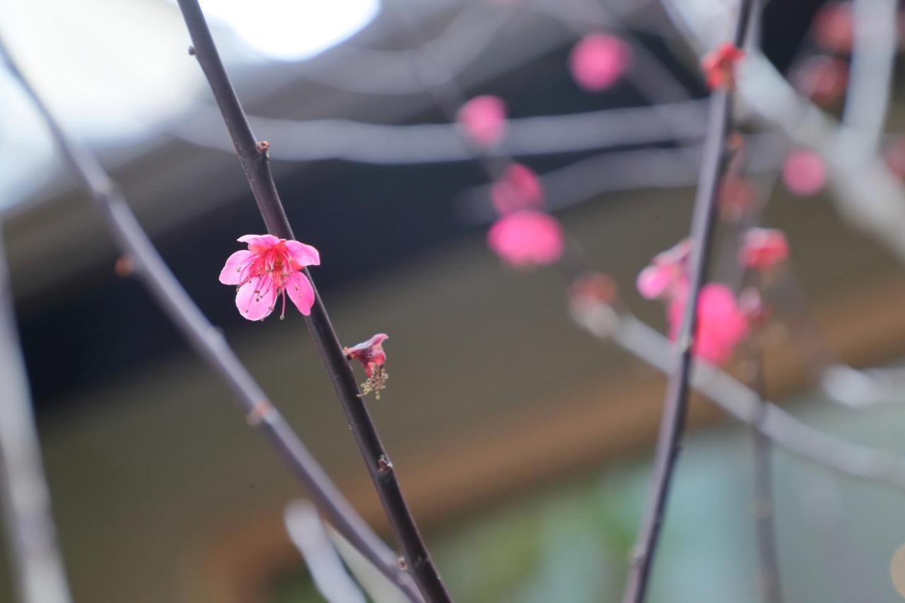 Kyo No Oozora Saika Villa Kyoto Dış mekan fotoğraf